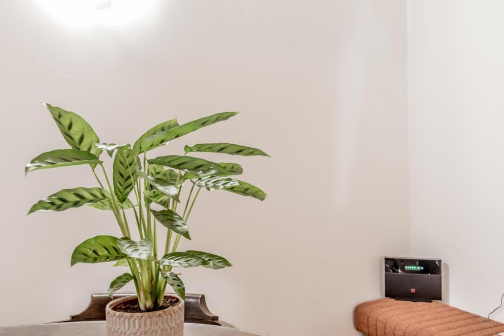 Apartament Casa Ghetto 13 Rzym Zewnętrze zdjęcie